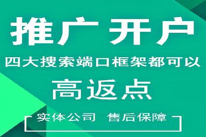 网络推广与竞价广告：双管齐下的策略案例